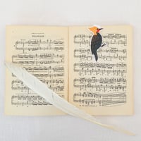 Image 2 of Blonde Crested Woodpecker Magnetic Bookmark