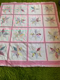 Image 4 of 028 - Small - Earla Pink 1