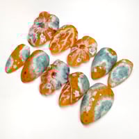 Image 4 of Moldy Clementines 