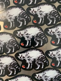 Image 3 of RACCOON. MAGNET