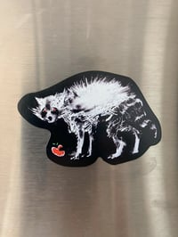 Image 2 of RACCOON. MAGNET