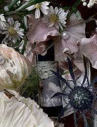 Image 1 of Pisces Perfume (Lotus, Sandalwood, Chamomile, Blue Tansy)