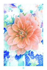 Image 1 of PETAL PUZZLE (24X18)