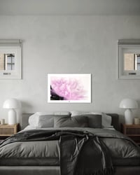 Image 3 of BLUSHING PEONY (24X36)