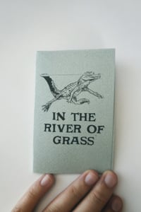 Image 1 of in the river of grass
