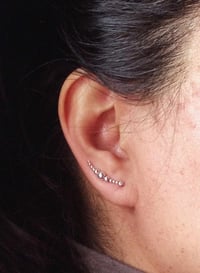 Image 3 of Caterpillar earrings