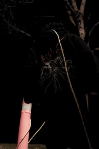 Image 3 of BLOOD OF SAINTS AND PROPHETS HOODIE