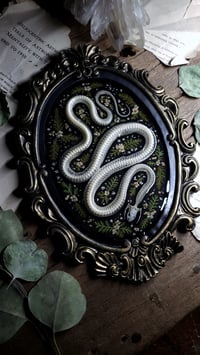 Image 3 of Snake Skeleton and Floral Oval Wall Frame