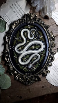 Image 1 of Snake Skeleton and Floral Oval Wall Frame