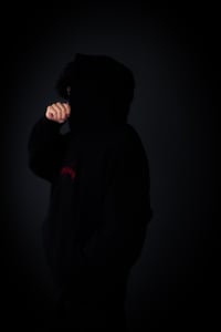 Image 1 of BLOOD OF SAINTS AND PROPHETS ORIGIN HOODIE