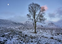 Dawn mountain range exclusive print