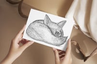Image 3 of "Shy Fox"
