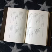 Image 4 of Blood Is Sleeping While Standing Still [Terayama, first edition]