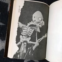 Image 11 of Blood Is Sleeping While Standing Still [Terayama, first edition]