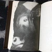 Image 3 of Blood Is Sleeping While Standing Still [Terayama, first edition]