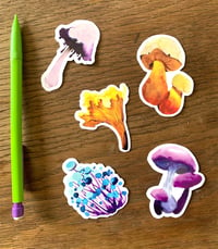 Image 1 of Pack de stickers champignons