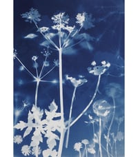 Image 2 of Djeco Cyanotype Starter kit