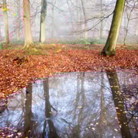 Blank Greetings Cards - Pack of 8 - Autumn Mists
