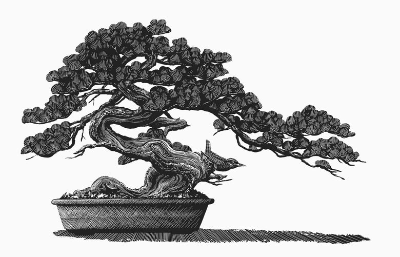 Image of »Penjing« Screen Print