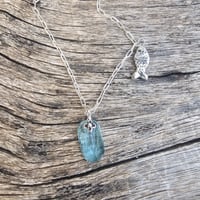 Image 1 of Aqua Fish