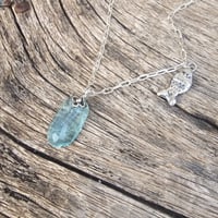 Image 2 of Aqua Fish