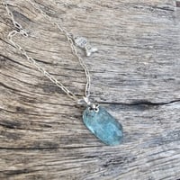 Image 4 of Aqua Fish