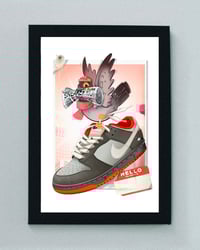 NYC Pigeon