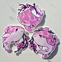 Sakura shark stickers
