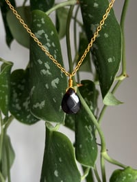 Image 1 of Onyx in Gold 