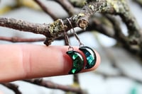 Image 1 of Dead Good Elytra Beetle wing earrings 