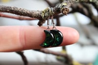 Image 6 of Dead Good Elytra Beetle wing earrings 
