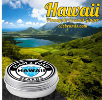 Image 1 of Hawaii Beard Balm