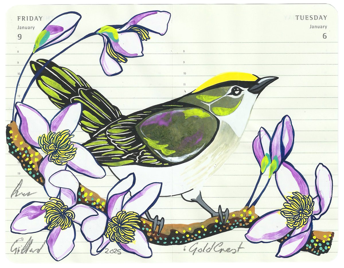 Image of Goldcrest