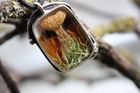 Image 4 of Dead Good mushroom and moth wing necklace