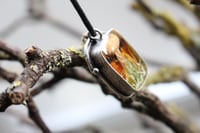 Image 5 of Dead Good mushroom and moth wing necklace