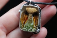 Image 2 of Dead Good mushroom and moth wing necklace