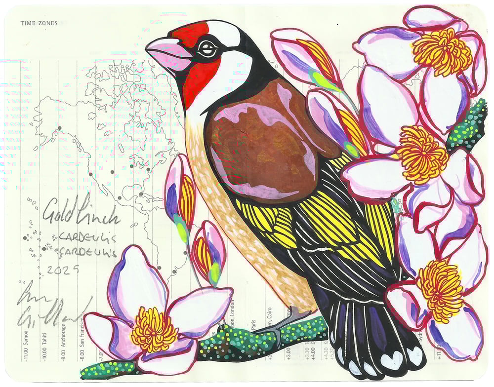 Image of Goldfinch