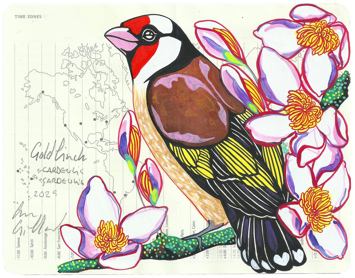 Image of Goldfinch