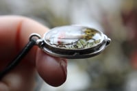 Image 6 of Dead Good mushroom diorama pendant 