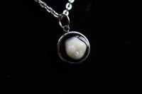 Image 1 of Dead Good round tooth necklace