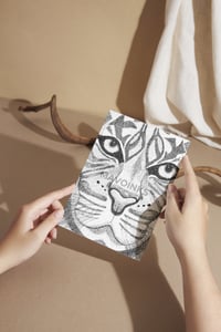 Image 2 of "Tiger"