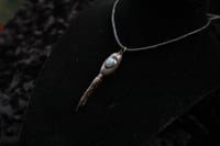 Image 4 of Dead Good Pheasant toe with moonstone crystal