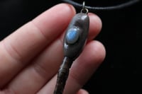 Image 6 of Dead Good Pheasant toe with moonstone crystal