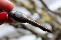 Image 7 of Dead Good Pheasant toe with moonstone crystal