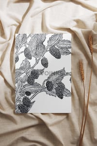 Image 2 of "Mulberries"