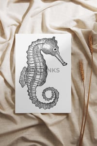 Image 2 of "Seahorse" 