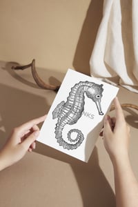 Image 4 of "Seahorse" 