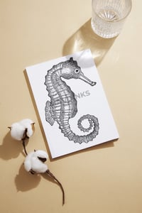Image 3 of "Seahorse" 