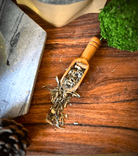 Image 3 of Sweet Herbs Soursop Shield Tea