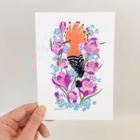 Image 2 of Hoppoe and Crocus Art Print